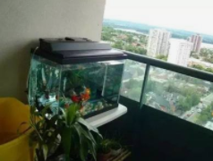 鱼缸放在阳台风水好吗？